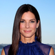 Illustration for article titled Sandra Bullock Found Alleged Stalker Standing Outside Her Bedroom Door